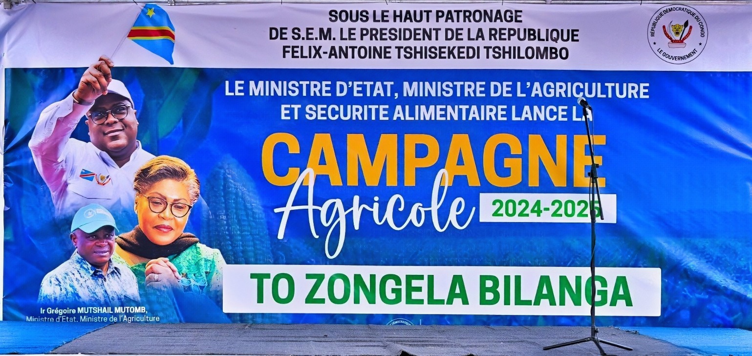Security in the DRC